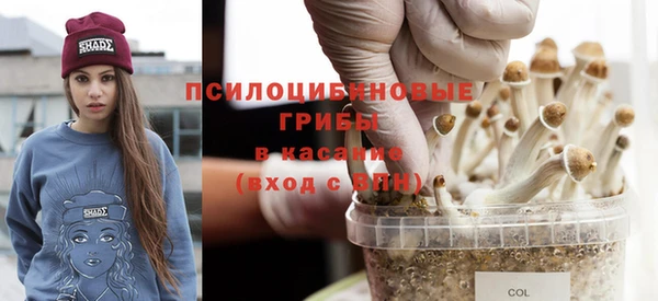 mdma Бородино